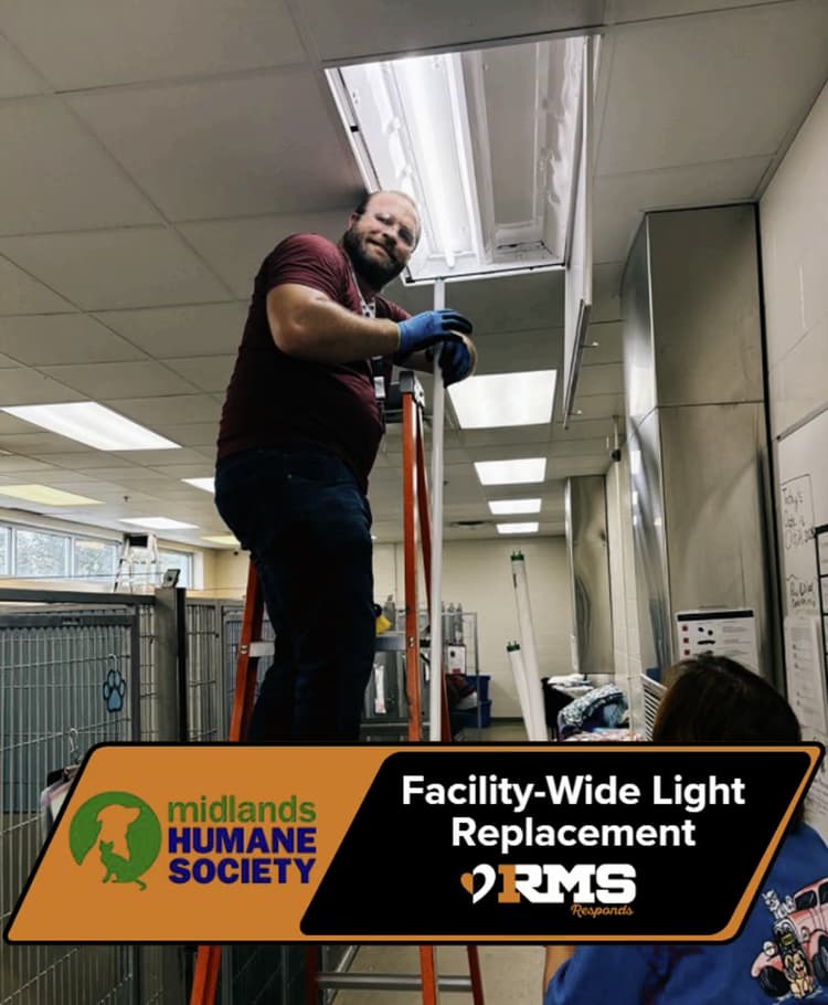 Facility Wide Light Replacement