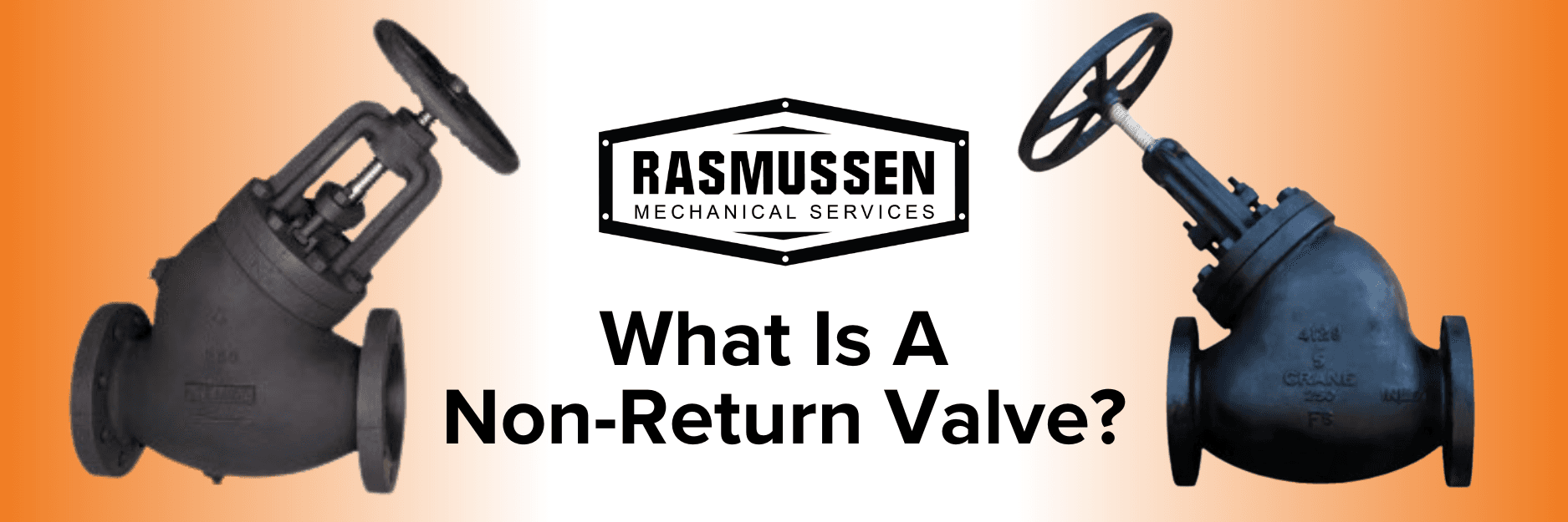 What is a non-return Valve Header