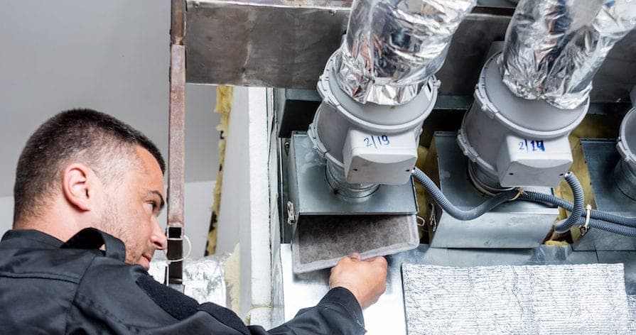 A technician looking through an HVAC for white slime (white algae).
