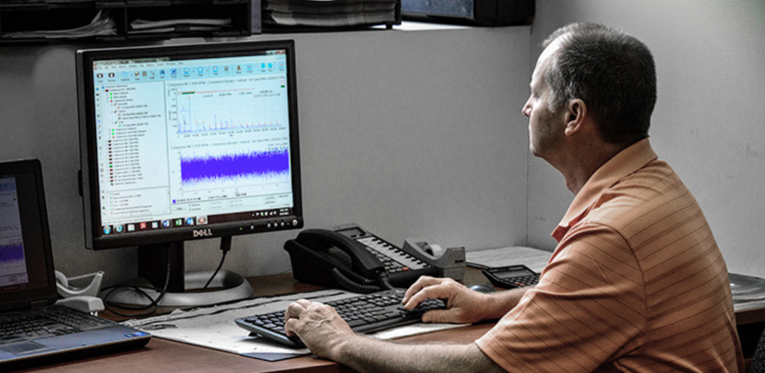 Technician Viewing Vibration Analysis Software Data